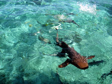 Belize-Belize Coast-Belize Surf Getaway